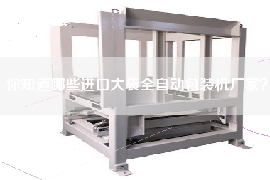 你知道哪些進口大袋全自動包裝機廠家？
