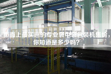 市面上最實(shí)惠的專業(yè)袋中袋包裝機(jī)售價(jià),你知道是多少嗎? 市面上最實(shí)惠的專業(yè)袋中袋包裝機(jī)售價(jià),你知道是多少嗎?
