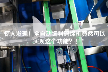 惊人发现！全自动饲料码垛机竟然可以实现这个功能？！