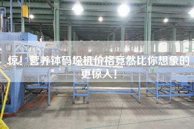 惊！营养钵码垛机价格竟然比你想象的更惊人！