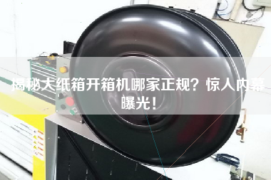 揭秘大紙箱開箱機哪家正規？驚人內幕曝光！
