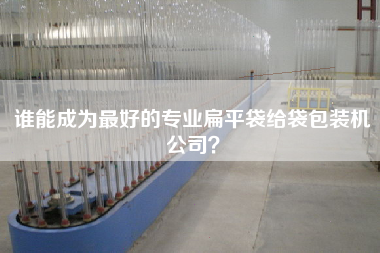 谁能成为z好的专业扁平袋给袋包装机公司？